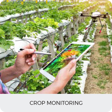 Crop Monitoring