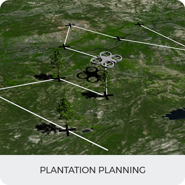 Plantation Planning